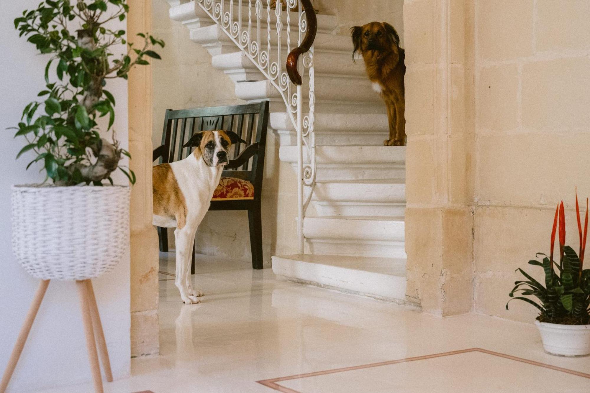 Tinja Bnb Sliema Luaran gambar